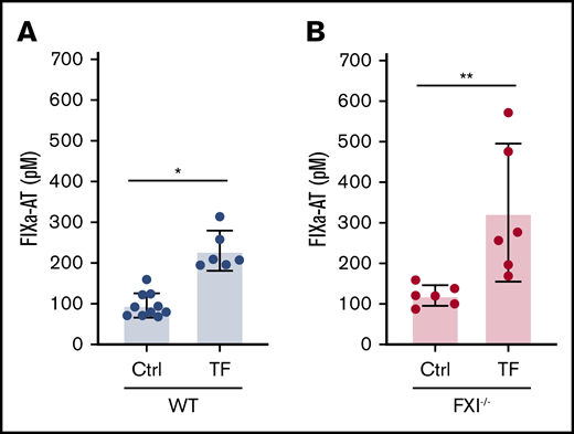 TF activates FIX in thrombin-inhibited wild-type and FXI−/−mice. Plasma levels of FIXa-AT complexes were quantified in dabigatran-pretreated wild-type (WT) (A) or FXI−/− (B) mice, administered either vehicle control or TF (n = 6-10 per group). A significant increase in plasma FIXa-AT complexes was observed on administration of TF in both WT and FXI−/− mice. Data are presented as individual values with means ± 95% confidence intervals. *P < .0001; **P < .05; unpaired Student t test.