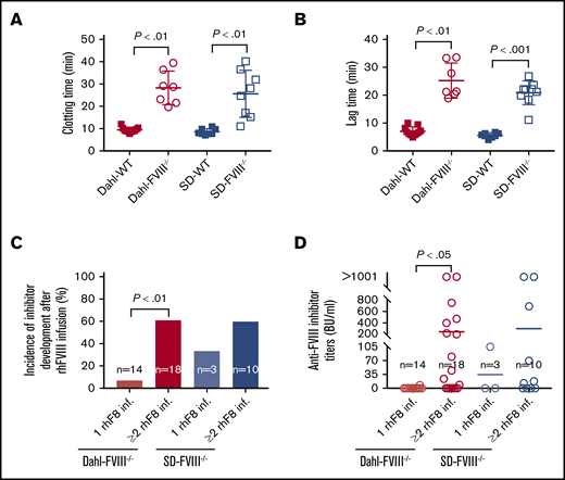 Dahl-FVIII−/− rats exhibit impaired blood coagulation functions and are prone to development of anti-FVIII immune responses. Pathophysiological properties in Dahl-FVIII−/− rats were characterized by native ROTEM analysis and TGA of whole blood. Blood samples were collected from the ventral tail artery by using sodium citrate as an anticoagulant. (A) Whole-blood clotting time determined by using native ROTEM analysis. Recalcified whole-blood samples were used for ROTEM analysis. (B) Lag time determined by using nWB-TGA. Recalcified whole blood samples were used for nWB-TGA. (C) Incidence of anti-FVIII inhibitor development in FVIII−/− rats that had spontaneous bleeding episodes and received human recombinant FVIII infusion. (D) Inhibitor titers in FVIII−/− rats that had spontaneous bleeding episodes and received human recombinant FVIII infusion. Blood samples were collected from animals at least 2 weeks after rhFVIII infusion, and anti-FVIII inhibitor titers were determined by using a chromogenic-based modified Bethesda assay.