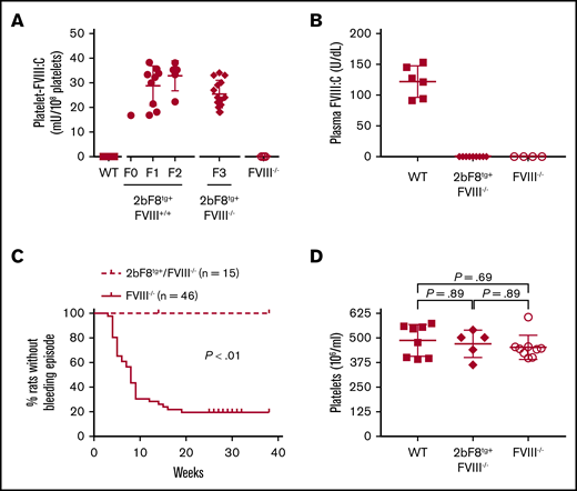 The spontaneous bleeding phenotype in Dahl-FVIII−/−rats is rescued by 2bF8 lentivirus-mediated transgenesis. Transgenic Dahl rats were generated by 2bF8 lentivirus-mediated oocyte transduction transgenesis; 2bF8 transgene was then crossed onto the Dahl-FVIII−/− background. Animals were monitored for bleeding episodes. Platelets and plasmas were isolated from blood samples collected via ventral tail artery blood draws. FVIII expression levels in platelet lysates and plasma were determined by a modified chromogenic assay. Blood samples from WT and FVIII−/− Dahl rats were used as controls. B-domain–deleted rhFVIII (Xyntha) was used as a reference standard for FVIII:C assays. (A) FVIII expression levels in 2bF8 transgenic rat platelets. (B) FVIII expression levels in 2bF8 transgenic rat plasma. (C) Occurrence of bleeding episodes in 2bF8 transgenic rats. (D) Platelet counts in 2bF8 transgenic rats.