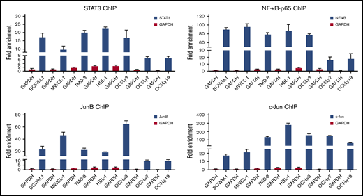 ChIP studies assessing STAT3, NF-kB, and AP-1 TF binding to the HCK promoter. The fold enrichments of HCK promoter-specific sequence assessed by quantitative PCR following ChIP with ChIP grade antibodies to STAT3, NF-kB-p65, JunB, and c-Jun in MYD88-mutated WM (BCWM.1, MWCL-1) and ABC-DLBCL (TMD-8, HBL-1, OCI-Ly3) cells, and MYD88 wild-type lymphoma cells (OCI-Ly7, OCI-Ly19). Antibody to GAPDH was used as control antibody.