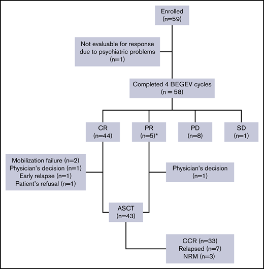 CONSORT diagram showing the flow of participants. *One patient considered to be in PR at the time of the initial report11 was classified as being in CR when disease response was reassessed for the current analysis. CCR, continuous complete remission; NRM, nonrelapse mortality; PD, progressive disease; SD; stable disease.