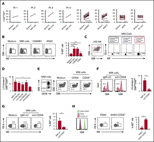 Mechanisms determining the expansion of CD94lowCD56dimNK cell subset induced by MM plasma cells. (A) Frequency of CD94lowCD56dim NK cells among total NK cells from HDs upon 24-hour coculture with or without allogeneic MM cells isolated from the BM of 4 distinct patients or with the indicated tumor cell lines. E/T ratio in the culture = 1:1. (B) In vitro proliferation of NK cells from HDs cultured for 24 hours in the absence (medium) or presence of primary MM cells, U266B1 and K562 cell lines. The Ki67 expression on NK cells is shown in relation to CD94 molecule distribution. Summary of data from 3 independent experiments is shown as mean ± SEM. (C) Proliferation of the 3 indicated NK cell subsets following coculture with primary MM cells. (D) NK cells from HDs were cultured with U266B1 cells for 24 hours in the presence of blocking mAbs for the indicated activating receptors or isotype-matched control mAbs (IgM ctrl). Histograms represent δ (Δ) values ± SEM of percentage increase of CD94lowCD56dim NK cells, calculated as the percentage of CD94lowCD56dim NK cells cultured with U266B1 subtracted the percentage of CD94lowCD56dim NK cells cultured without target cells. Bars represent mean ± SEM from 6 independent experiments. (E) CD56neg and CD56+ MM were sorted from patient’s BM (left dot plot) and cocultured for 24 hours with HD NK cells (right dot plots). One representative experiment of 3 with similar results is shown. (F) NK cells from HDs were cultured for 24 hours with MM cells isolated from patients’ BM in the presence of blocking mAb for CD56/NCAM-1 and then analyzed for the expression of CD94 by flow cytometry. Histograms show representative expression of CD94 in cultured NK cells in the presence of anti-CD56/NCAM-1 blocking mAb for or isotype-matched control mAb (IgM ctrl). Bars represent δ (Δ) values ± SEM of the increase in the percentage of CD94lowCD56dim NK cells calculated as the percentage of CD94lowCD56dim NK cells cultured with MM cells subtracted the percentage of CD94lowCD56dim NK cells cultured without a target. Data shown are from 6 independent experiments. (G) In vitro proliferation of HD NK cells cultured with MM cells in the presence of anti-CD56/NCAM-1 blocking antibody. Numbers adjacent to gates indicate the frequency of Ki67+ NK cells. Bars represent data from 4 independent experiments shown as mean ± SEM of Ki67+ cells. (H) Proliferation of HDs NK cells cocultured (24 hours) with either K562 or K562 transfected with the cDNA coding for CD56 protein. A representative experiment and mean of data ± SEM from 3 independent experiments are shown. **P < .01, ***P < .001; Student t test. n.s., not significant.