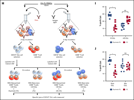 Daratumumab induces expansion of activated and patient-tumor specific cTLs. (A-B) cTLs were sorted from PBMCs of healthy donors (n = 6) and patients with CLL (n = 6), with CD38 levels determined as percentage expression (A) and MFI (B). (C) Flow-sorted cTLs were labeled with carboxyfluorescein succinimidyl ester followed by treatment with daratumumab for 72 hours. cTL proliferation was measured and data were represented as multicolor cell proliferation histograms. (D) PBMCs from patients with CLL were incubated with IgG1 control Ab or daratumumab (1 µg/mL) for 72 hours and CD3+CD8+ T cells were gated to determine percentage of cTLs. (E) Cell surface markers of T-cell activation (CD69, GITR, CD137) and (F) exhaustion (TIGIT, Lag3, CD244, PD1, CTLA4) were measured on CD3+CD8+ gated cTLs from PBMCs of patients with CLL, which were ex vivo treated with daratumumab (D, 1 µg/mL) or kuromanin (30 µM) for 72 hours. Contour plots are representative and compiled data are presented as mean ± SEM with individual data points overlaid. (G) The presence of CD38+PD1+ co-expressing cTLs was measured in CD3+CD8+ gated T cells from PBMCs from patients with CLL treated with daratumumab (1 µg/mL, 72 hours) or kuromanin (30 µM, 72 hours). Data are represented as scatter dot plots of percentage PD1+ cells or percentage CD38+PD1+ cells ± SEM. (H) An illustration of the experimental design in testing daratumumab-primed or unprimed cTL cytolytic response to either untreated CLL cells (−D) or daratumumab-treated CLL cells (+D) from 9 patients is presented. Notably, 7 of these patients were considered as having CD38− disease. (I) Untreated CLL cells (−D) or daratumumab-treated CD19+ CLL cells (+D) were labeled with Calcein-AM and cocultured with daratumumab-primed patient autologous cTLs or unprimed cTLs (exposed to IgG1-isotype control Ab) for 6 hours. Percentage specific lysis of CLL cells was measured as percentage calcein release in supernatant. Calcein-AM released from Triton X-100 treated cells (%) was used as maximum lysis and that from untreated CLL cells was used as spontaneous lysis. (J) Similarly, patient-specific tumor specificity of daratumumab-primed cTLs was measured using Calcein-AM labeled autologous/allogeneic CLL cells. Data are represented as scatter dot plots of percentage mean specific lysis of tumor cells ± SEM. Each experiment was performed at least twice in duplicate. *P < .05.