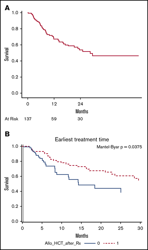Survival in responding patients. (A) Kaplan-Meier curves for OS in patients who achieved CR/CRi. (B) Simon-Makuch curve demonstrating survival outcome in patients who achieved CR and received allo-HCT vs no allo-HCT.