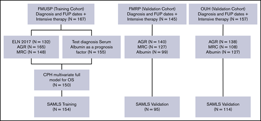 Modeling diagram. Training (FMUSP) and test (FMRP and OUH) cohorts modeled data. FUP, follow-up; MRC, Medical Research Council Cytogenetic Classification.