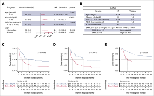 Multivariate CPHM, SAMLS, and albumin OS KM. (A) Multivariate CHPM for OS in FMUSP. (B) SAMLS features attributed weights and scoring. (C-E) OS curves as estimated per Kaplan-Meier method for albumin levels per cohort (C, FMUSP; D, FMRP; and E, OUH). *A patient who is 42 years old with albumin = 3.2, FR AGR, and WBC = 32 × 103/μL would have a SAMLS = 0 (age) + 1.0 (albumin) + 0 (AGR) + 0.5 (WBC) = 1.5; therefore, this patient is a LR SAMLS.