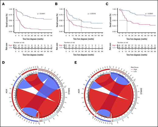 OS Kaplan-Meier curves for SAMLS. (A) FMUSP. (B) FMRP. (C) OUH. Circos table in FMUSP (D) and OUH (E) illustrating the shared information between AGR (left) and SAMLS (right); the inner ring depicts the absolute information within each risk category for AGR (brown, FR; gray, IR; and bright blue, AR) and for SAMLS (blue, LR; red, HR); the outer ring shows the percentage of that information that is shared between the 2 classification systems (eg, 66% of AGR IR become SAMLS HR in FMUSP); the ribbons illustrate the absolute number from AGR that will compose each SAMLS category and from where they come.