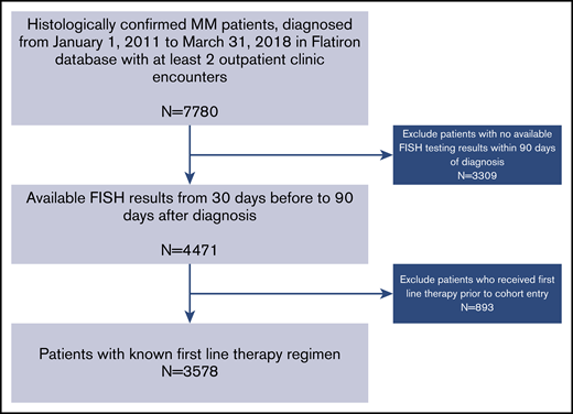 Cohort selection process. Eligible patients were required to have undergone FISH testing of their bone marrow aspirate within 90 days of diagnosis and have known first-line therapy.