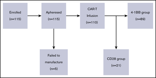 CAR T-cell treatment schedule for enrolled patients.