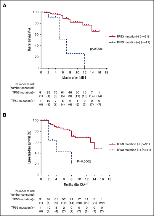 B-ALL patients with TP53 mutation had a lower OS and LFS than those without TP53 mutation. (A-B) The 102 patients were divided into 2 groups based on TP53 mutation status: TP53+ mutation and TP53– mutation. Kaplan-Meier analysis showed that OS and LFS at 6 months were much lower for patients carrying the TP53 mutation when compared with the patients without a TP53 mutation (OS: 51.9% vs 89.0%; P < .0001; HR, 61.75; 95% CI, 11.35-336.1; LFS: 42.4% vs 82.6%; P = .0002; HR, 0.06; 95% CI, 0.014-0.26).