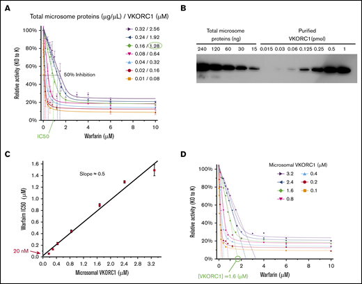 Tight-binding inhibition kinetics of warfarin. (A) Warfarin inhibition curves at different concentrations of microsomal VKORC1. The concentration of total microsome proteins and that of the VKOR protein in microsomes (estimated in panel B) are indicated. Error bars are from 3 repeats. (B) Estimation of microsomal VKORC1 concentration. Series dilutions of total microsome proteins and purified protein are compared. (C) Correlation between warfarin IC50 and estimated microsomal VKORC1 concentration. (D) Effective VKORC1 concentration determined from extrapolation of the linear part of Morrison curves. The green circles in panels A and D exemplify that estimated (from panel B) and effective VKOR concentrations are similar.
