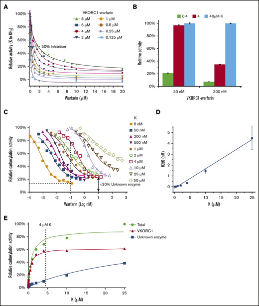 Vitamin K competition releases tightly bound warfarin. (A) Warfarin inhibition curves with different concentrations of purified VKORC1-warfarin complex and with K as the substrate. (B) Relative VKORC1 activity at varying concentrations of VKORC1-warfarin and K. (C) Warfarin inhibition of cellular activity of transfected VKORC1 under different K concentrations. The dashed line illustrates that, under the same warfarin concentration, VKORC1 activity is inhibited at 5 nM K but retained at 4 μM K. The double arrow indicates relative activity of the unknown enzyme (not inhibited by warfarin) at high warfarin concentration with 4 μM K. (D) Correlation between cellular warfarin IC50 and K concentration (from panel C). (E) Relative activities of VKORC1 and the unknown enzyme in absence of warfarin. The total carboxylation activity from VKORC1 and the unknown enzyme is measured with endogenous level of VKORC1 (30 ng; Figure 2A) transfected into DKO cells. Activity of the unknown enzyme is measured without the VKORC1 transfection, and subtraction of this activity from the total activity gives the VKORC1 activity. The curves show Michaelis-Menten fittings, and the dashed line illustrates that activity of the unknown enzyme is considerably lower than that of VKORC1 at a high K concentration (4 μM).
