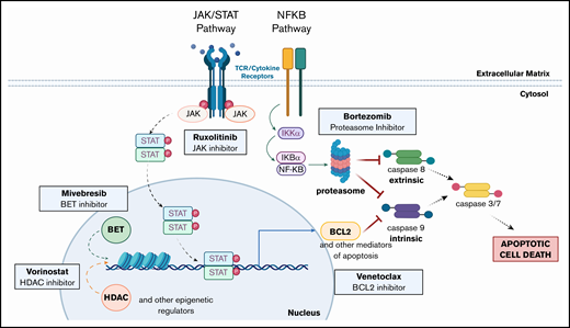 Altered pathways and their intersections within CTCL cells suggest multiple opportunities for single and combination therapeutic intervention. Mutations in the JAK/STAT pathway (JAK1, JAK2, JAK3, STAT3, and STAT5B) and the NF-κB pathway (NFKB2) have been previously described in CTCL. The pathways affected all ultimately inhibit both intrinsic and extrinsic apoptosis pathway activation. Inhibition of these pathways (eg, by the targeted agents assessed) overcomes resistance to apoptosis and drives malignant CTCL cell death. (Created with biorender.com.)
