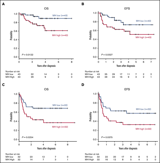 MH on baseline18FDG-PET-CT predicts worse prognosis of newly diagnosed DLBCL. Kaplan-Meier plots of OS (A,C) and EFS (B,D) for the training cohort (A-B) and the validation cohort (C-D).