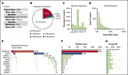Prevalence and distribution of somatic mutations. (A) Description of the cohort (n = 1887). (B) Prevalence of the 540 somatic mutations identified in 427 individuals of the cohort. (C) Mutation signature of all single nucleotide substitutions (supplemental Figure 2). (D) VAF distribution of all somatic mutations. (E) Cooccurrence of the all somatic mutations in the 427 mutated individuals. Darker shades represent double mutation in the same gene. (F) Contribution of individual genes to the total number of observed somatic mutations. (G) Average VAF of somatic mutation for each gene.