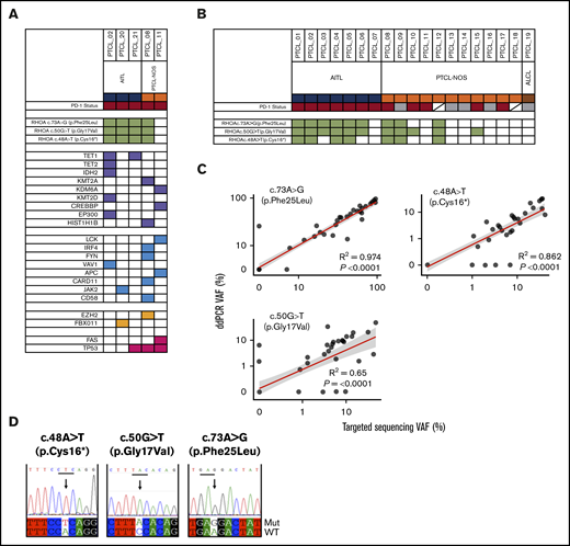 RHOA mutations detected in peripheral blood. (A) The results of targeted deep sequencing from cfDNA of RHOA exon 2 by Illumina CAPP-seq. Mutations were detected at presentation (n = 5) at c.50G>T (p.Gly17Val), c.73A>G (p.Phe25Leu), and c.48A>T (pCys16*). Diagnosis (either AITL or PTCL-NOS) is indicated. In all cases, the malignant T-cells expressed PD-1. (B) ddPCR assays from cfDNA for the 3 RHOA mutations. Diagnosis and PD-1 status are shown. Red shading indicates PD-1 expression; for cases with gray shading, PD-1 is negative, and for those with a diagonal line, PD-1 is not determined. (C) Mutational frequency by ddPCR results was correlated with VAF from Ion Torrent sequencing for the 3 RHOA mutations in samples at presentation and during the course of treatment (28 samples from 21 patients). Linear regression (red line) and 95% confidence interval are shown. For c.50G>T (p.Gly17Val), R2 = 0.65 and P = .0001; for c.73A>G (p.Phe25Leu), R2 = 0.974 and P = .0001; and for c.48A>T (pCys16*), R2 = 0.862 and P = .0001. (D) Sanger sequencing fluorograms from cloned PCR product showing the 3 RHOA mutations c.50G>T, c.73A>G, and c.48A>T (pCys16*). Mut, mutated; WT, wild-type.