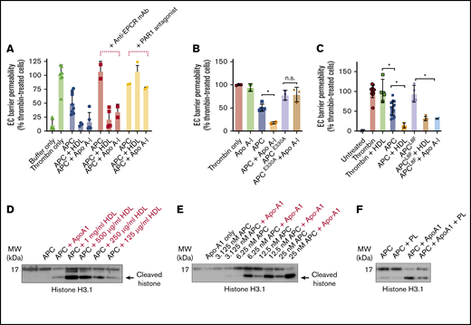 Apo A-I enhances endothelial cell (EC) barrier integrity and extracellular histone proteolysis by APC. (A) HDL- and Apo A-I–enhanced protection against thrombin-induced disruption of the EC barrier by APC (10 nM; blue) was measured in the presence of an anti-EPCR antibody (25 µg/mL, RCR-252) that blocks APC–EPCR binding (red) or with a PAR1 antagonist (SCH5300348; yellow) that prevents APC-dependent PAR1 signaling. (B) To confirm the role of PAR1 in Apo A-I–enhanced APC EC barrier protection, Apo A-I–dependent enhancement of either wild-type APC, or an APC variant that is unable to recognize PAR1 (APCE330A, both 10 nM), was characterized. (C) Similarly, the role of APC–EPCR binding in Apo A-I–stimulated APC signaling function was assessed by comparing protection of endothelial barrier integrity by wild-type APC and an APC variant unable to bind EPCR (APCL8F, both 10 nM). (D) Proteolysis of histone H3.1 by APC (6.25 nM) was assessed with HDL (125 µg/mL to 1 mg/mL) or Apo A-I (150 µg/mL) by western blotting with an antihistone H3.1 antibody, which recognizes both APC-cleaved and APC-uncleaved fragments of histone H3.1. (E) Similarly, proteolysis of histone H3.1 by titration of APC (3.25-25 nM) was assessed ± Apo A-I (150 µg/mL). (F) In addition, the ability of anionic phospholipids (20 µM) to modulate Apo A-I–mediated enhanced histone proteolysis by APC (6.25 nM) was assessed by using the same approach. Experiments were performed in at least triplicate, and results are presented as the mean ± standard deviation. Statistical significance was determined by using the Student t test. *P < .05. mAb, monoclonal antibody.