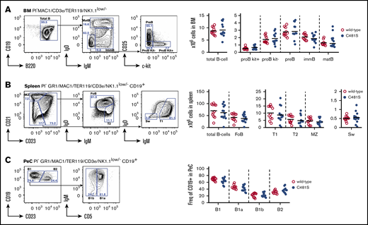 Bone marrow B-cell development and generation of peripheral B-cell subsets is normal in C481S-mutant animals. (A-C, left) Gating strategy for identification of B-cell developmental stages and peripheral subsets in indicated organs. Prior gating is indicated above the FACS plots. Propidium iodide (PI) was used for dead cell discrimination. (A-B, right) Absolute numbers of total B cells and B-cell subsets in bone marrow (BM) and spleen. (C, right) Frequency of subsets within B cells in the peritoneal cavity (PeC). (A-C, right) Each dot represents data from individual animals; vertical bars indicate mean and 2-tailed Mann-Whitney U test was used to calculate significance. FoB, follicular B cell; immB, immature B cell; matB, mature B cell; MZ, marginal zone B cell; Sw, switched B cell; T1, transitional 1 B cell; T2, transitional 2 B cell.