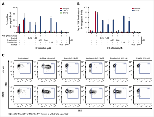 Reversible, but none of the irreversible, BTK inhibitors affect viability or blocks CD25 expression in isolated B cells from C481S. (A) Viability of B cells as determined by flow cytometry following indicated stimulation and BTK-inhibitor treatment. Cell viability was assessed using annexin V and LIVE/DEAD (viability marker) staining. (B) CD25 expression on B cells as determined by flow cytometry following indicated stimulation and BTK inhibitor treatment. (C) Representative data from 1 of 2 independent experiments. Prior gating is indicated below FACS plots. (A-B) Bars indicate mean with SD. Data are from 2 independent experiments and a total 4 wild-type, 4 C481S, and 2 BTKKO mice were analyzed. (A) Values were normalized to the percentage of live (LIVE/DEAD− Annexin V−) cells in the average of wild-type stimulated controls from each independent experiment. Data from BTK KO mice are only shown in panel A. The highest dose of acalabrutinib reduced survival and CD25 expression in C481S mice.