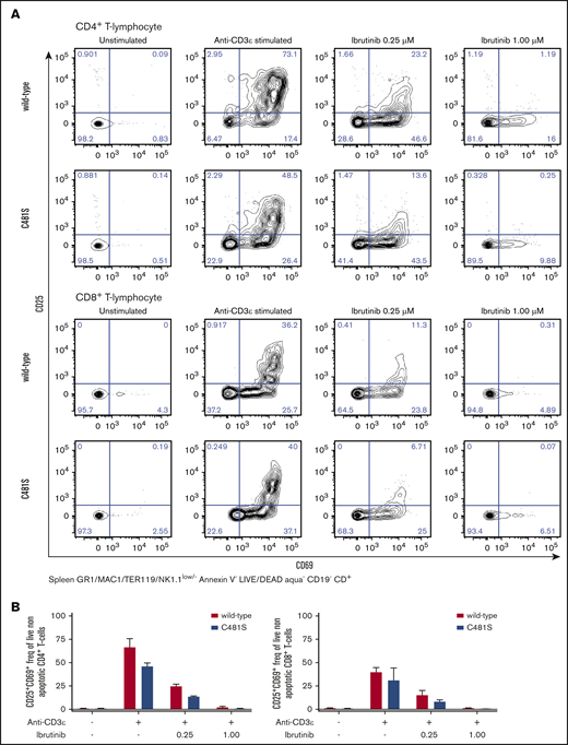 Ibrutinib blocks CD4+ and CD8+ T-cell activation in anti-CD3 stimulated T cells in a BTK-independent manner. (A-B) T lymphocytes obtained from spleen of indicated genotypes were stimulated with anti-CD3ε Abs in the presence of indicated concentrations of ibrutinib and subsequently analyzed by flow cytometry for the activation markers CD69 and CD25. Representative data from 1 of 2 independent experiments. (A) Prior gating is indicated below the FACS plots. (B) Bars indicate mean with SD from 2 biological replicates.