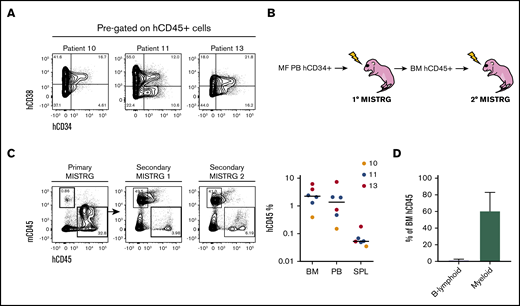 Characterization of MF HSPCs and serial repopulation analysis. (A) Representative flow cytometry plots of the human stem (hCD34+hCD38−) and progenitor (hCD34+hCD38+) cell fraction out of total hCD45+ cells from 3 MISTRG mice transplanted with 3 different samples (10, 11, and 13). (B) Workflow for serial transplantation of purified hCD45+ cells from primary into secondary MISTRG mice. (C, left) Flow cytometry plots of primary and secondary MISTRG mice from sample 13, 9.7 weeks (primary MISTRG) and 17.9 weeks (secondary MISTRG) post-transplantation, respectively. (C, right) Total human engraftment in the BM, PB, and SPL of secondary MISTRG recipients. Each dot represents an individual mouse; each color represents an individual patient. (D) Distribution of human B-lymphoid and myeloid lineages. Results are expressed as mean ± standard deviation.