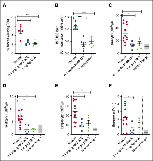 Mn porphyrins reduce eryptosis, SSRBC oxidative stress, and leukocytosis in TS mice in vivo. TS mice were dosed daily for 28 days except on weekends with 1 dose per day of vehicle, 0.1 mg/kg MnBuOE, and 1 mg/kg MnE injected subcutaneously. (A) PS exposure of sickle RBCs in treated TS mice. Dynamics of RBC PS exposure analyzed with GFP-labeled annexin V on Mn porphyrin-improved eryptosis in TS mice. The data presented as SEM of 5 different experiments per treatment group. ***P < .001 vs vehicle. (B) SSRBC ROS production in treated TS mice. SSRBCs isolated from blood of treated TS mice were tested for the levels of ROS using DCF as an indicator of ROS in cells. MnBuOE and MnE significantly decreased ROS production in sickle RBCs compared with vehicle treatment. Error bars show SEM of 6 different experiments per treatment group. ****P < .0001 vs vehicle. (C-F) Leukocytosis evaluation in treated sickle mice. Blood drawn through the submandibular vein was assessed for complete blood count. Total leukocyte (C), neutrophil (D), lymphocyte (E), and monocyte (F) counts are shown. Data are presented as SEM. *P < .05 and **P < .01 compared with vehicle controls.