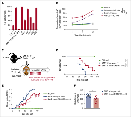 Anti-mouse CD45RC mAb treatment alone delays GVHD following BM and T-cell administration. (A) Percentages of CD45RC+ cells among mouse splenocytes. Cells were first gated on morphology, doublet cells, and live cells. Mean expression of CD45RC ± SEM on different cell types (n = 3). (B) Mouse splenocytes incubated with anti-CD45RC or isotype control mAbs or dexamethasone as a positive control were stained with annexin V to analyze apoptosis. Results show the percentage expression of annexin V+ DAPI+ cells among CD45RC+ T cells for 1 to 18 hours compared with controls. **P < .01. (C) T cells were injected into irradiated mice at time of BM transfer (BM group n = 4). Mice were treated with anti-CD45RC (n = 11) or isotype control (n = 11) mAbs. Experiments were performed twice and data were pooled. Survival (D) and GVHD clinical score (E) were analyzed every day. *P < .05; **P < .01. (F) Histogram shows area under curve (AUC) of clinical GVHD. AUC was calculated for each mouse, and then an ANOVA test with post hoc analysis was performed. **P < .01.