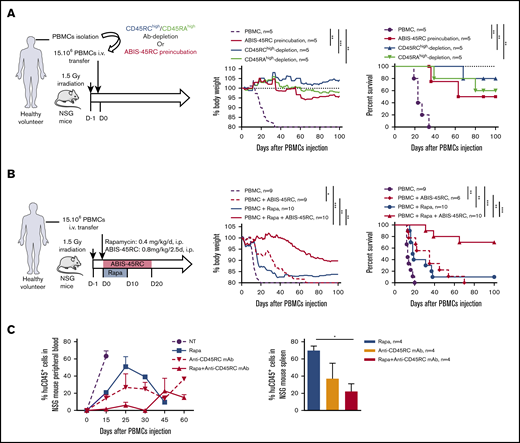 Anti-human CD45RC ABIS-45RC treatment improves aGVHD survival in immune-humanized NSG mice. (A) Total human PBMCs or PBMCs depleted in CD45RChigh or CD45RAhigh or preincubated with anti-CD45RC mAb were transferred in irradiated NSG mice to induce GVHD. Results are expressed in percentage of weight loss (left) and mice survival (right) (2 experiments). **P < .01; ***P < .001. (B) NSG mice transferred with total human PBMCs to induce GVHD were treated with anti-CD45RC (ABIS-45RC) mAb alone or with a suboptimal dose of rapamycin for the indicated time points. Results are expressed in percentage of weight loss (left) and mice survival (right) (4 experiments). *P < .05; **P < .01; ***P < .001. (C) Histogram of the percentage of human CD45+ cells in NSG mice peripheral blood (left) and spleen (right) (days 15, 25, 30, 45, and 60 for peripheral blood and day 25 for spleen). *P < .05.