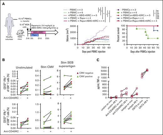 ABIS-45RC treatment preserves elimination of tumor cells by GVT and memory antiviral immune responses. (A) NSG mice were injected subcutaneously with human MDA-MB-231 breast cancer cells and, when tumor growth was detectable (day 8), were transferred with total human PBMCs to induce GVT. Results are expressed in tumor volume (left) and mice survival (right) (2 experiments). *P < .05; **P < .01. (B) Human PBMCs from CMV+ or CMV− individuals were cultured in medium, with CMV peptides or SEB superantigen with or without ABIS-45RC mAb (n = 7). Cytokine responses were analyzed by flow cytometry on CD4+ and CD8+ T cells (1 experiment). (C) TNF-α release by human PBMCs from healthy volunteers cultured for 24 hours with PBMCs at low (106 cells per well) or high density (107 cells per well precultured for the previous 24 hours) with ABIS-45RC, isotype control, OKT3 mAbs, or unstimulated. TNF-α release was detected by applying the Ella-system assay (1 experiment).