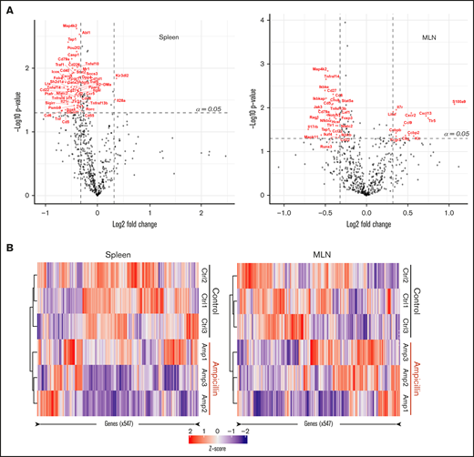Dysbiosis alters the mRNA transcript profile in both spleen and MLNs. RNA was isolated from whole-cell isolates of the spleen and MLNs of ampicillin-treated compared to control mice at 6 weeks of age, before FVIII infusion (n = 3 in each). RNA was analyzed using a Nanostring murine immunology panel of 547 genes. (A) Differences in gene expression within the spleen (left) and MLNs (right) as a result of ampicillin-treatment is visualized on a volcano plot. An arbitrary fold-change cutoff of ±1.25 and an α = 0.05 was applied to focus on potentially significant genes, and those that met criteria are highlighted in red. Significance was calculated using the Welch t test for unequal variances. (B) Differences in gene expression between both cohorts are represented through their respective z-scores on a heat map. Clustering was completed by using the Pearson squared distance metric of z-scores with Ward’s clustering method.