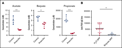 Dysbiosis results in reduced cecal SCFAs and supplementation with butyrate attenuates anti-FVIII immune response. (A) Levels of the cecal SCFAs acetate, butyrate, and propionate were quantified by NMR at 6 weeks of age, before FVIII infusion, and compared between ampicillin-treated (n = 5) and control (n = 4) mice. (B) In a separate experiment, mice were maintained in regular housing conditions and supplemented with 100 mM butyrate in the drinking water starting from 3 weeks of age (n = 7). They were then challenged with FVIII as previoulsy described. Plasma was analyzed for FVIII-specific IgG and compared with plasma of mice receiving only water (n = 10). The means and standard deviations of SCFA levels and FVIII-specific IgG were compared by using the unpaired, 2-tailed Student t test and the Mann-Whitney U test, respectively. **P < .01; ***P < .001; ****P < .0001.
