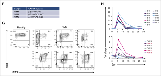 WM B cells generate PCs in vitro following culture with TD stimuli. (A) Representative flow cytometric plots depicting phenotypic characterization of differentiating B cells derived from the peripheral blood of healthy donors (left panels) or WM patients (right panels) stimulated with CD40L and F(ab′)2 anti-IgG/IgM. The day of culture is indicated on the left. (B) The proportion of the IgH repertoire occupied by each clone was plotted for healthy donor (upper panel) or WM (lower panel) samples stimulated with CD40L and F(ab′)2 anti-IgG/IgM, with each unique clone represented by a colored band. The top 250 clones are shown. (C) Reads from RNA-seq from representative day-6 samples taken from healthy donors and WM differentiations, highlighting the L265P somatic variant (T>C). (D) Phenotypic profiles for B cells derived from the peripheral blood of healthy donors (D1-D12). Each scatter plot displays the percentage of live cells expressing the stated CD marker, as determined at each time point via flow cytometry. Data from comparable intervals were grouped together for clarity. Each independent differentiation is represented by a different color. (E) Phenotypic profiles for B cells derived from the bone marrow of WM patients stimulated with CD40L and F(ab′)2 anti-IgG/IgM. Each independent differentiation is represented by a different color, and samples with CXCR4 mutations are shown in red (WM4 and WM7). (F) CXCR4 mutations detected among WM samples. (G) Representative plots of CD38 and CD138 expression on day-13 cells from 1 healthy donor and 6 WM samples. (H) The fold change in cell number from healthy donors (upper panel) and WM samples (lower panel) at each time point was determined by manual counts between day 0 and day 6 and by flow cytometry thereafter. The cell number at each point was normalized to the number of “input” cells for that specific donor obtained at day 0. Samples with CXCR4 mutations are indicated by red font.