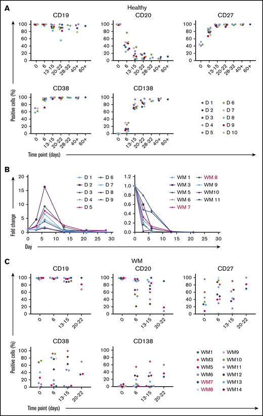 WM B cells fail to differentiate in response to the TLR7 agonist R848. (A) B cells derived from the peripheral blood of healthy donors were stimulated with 1 μg/mL R848 and F(ab′)2 anti-IgG/IgM. Each scatter plot displays the percentage of live cells expressing the stated CD marker, as determined at each time point via flow cytometry. Data from comparable intervals were grouped together for clarity. Each independent differentiation is represented by a different color. (B) The fold change in cell number from healthy donors (left panel) and WM samples (right panel) at each time point was determined by manual counts between day 0 and day 6 and by flow cytometry thereafter. The cell number at each point was normalized to the number of “input” cells for that specific donor obtained at day 0. WM samples with CXCR4 mutations are shown in red (WM7 and WM8). (C) B cells derived from the bone marrow of patients diagnosed with WM were stimulated with 1 μg/mL R848 and F(ab′)2 anti-IgG/IgM and profiled for markers as in panel A.
