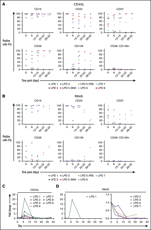 B cells from other LPDs display variable PC differentiation in vitro. B cells derived from the bone marrow (BM), peripheral blood (PB), or spleen of patients with various LPDs were stimulated with CD40L and F(ab′)2 anti-IgG/IgM (A) or 1 μg/mL R848 and F(ab′)2 anti-IgG/IgM (B). Each scatter plot displays the percentage of live cells expressing the stated CD marker, as determined at each time point via flow cytometry. Data from comparable intervals were grouped together. Each independent differentiation is represented by a different color. (C) The fold change in cell number at each time point was determined by manual counts for day 3 and day 6 and by flow cytometry thereafter. The cell number at each point was normalized to the number of “input” cells for that specific patient obtained at day 0.