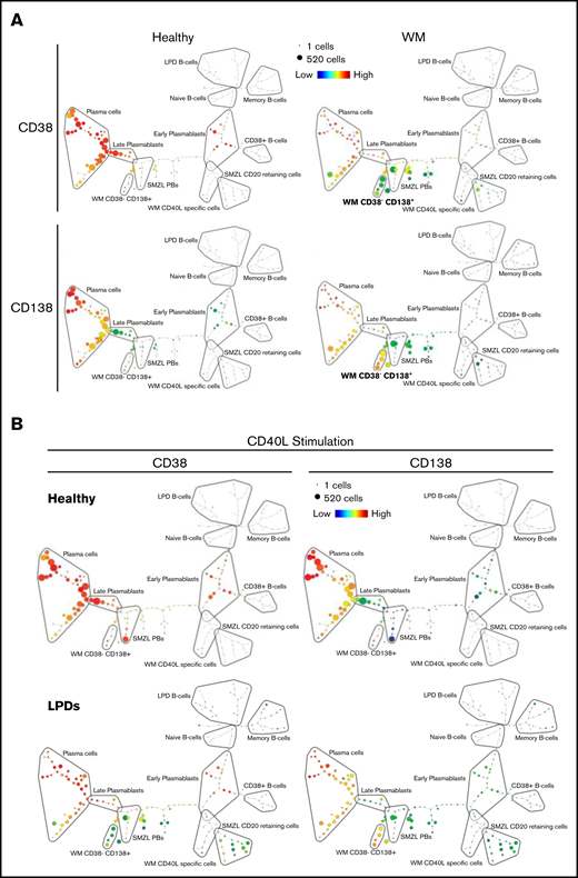 SPADE plots depicting population relationships during in vitro differentiation. (A) Plots showing related phenotypes in healthy and WM samples based on CD38 and CD138 expression among day-13 cells that had been stimulated with CD40L and F(ab′)2 anti-IgG/IgM at day 0. Each node is colored according to the median intensity of the indicated marker and is proportional in size to the number of cells with that marker intensity. (B) Visualization of the branched interconnectivity of healthy day-13 cells vs all LPDs, including WM, in response to CD40L or R848 stimulation based on CD38 or CD138 expression.