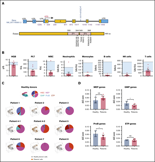Gene mutations, blood cell counts, and hematopoietic differentiation in patients with GATA2 deficiency. (A) Schematic diagrams of GATA2 messenger RNA and protein. Mutations of the GATA2 gene or protein lesions in patients are indicated. (B) Patients’ hemoglobin levels (HGB), platelet counts (PLT), white blood cell counts (WBC), neutrophil counts, monocyte counts, B-cell counts, NK-cell counts, and T-cell counts. Background shading shows a normal reference range for each parameter. (C) Patients’ cells were mapped onto the differentiation tree (left) by the nearest neighbor method, based on transcriptome similarity with cells from healthy donors. A pie chart (right) in each panel shows percentages of subpopulations in HSPCs. (D) AUC scores were computed based on expression of lineage signature genes. Signature scores of MEP, GMP, ProB, and ETP in patients were compared with those in healthy donors using 2-sided, unpaired Mann-Whitney U test. A column plot shows means ± standard deviation. *P < .05. Sample patient 4-2 was obtained before HSC transplantation, 8 months after patient 4-1. During this interval, patient 4 had extensive progression of human papilloma virus infection, but there was no significant difference in blood counts and BM biopsy appearance. NS, not significant.
