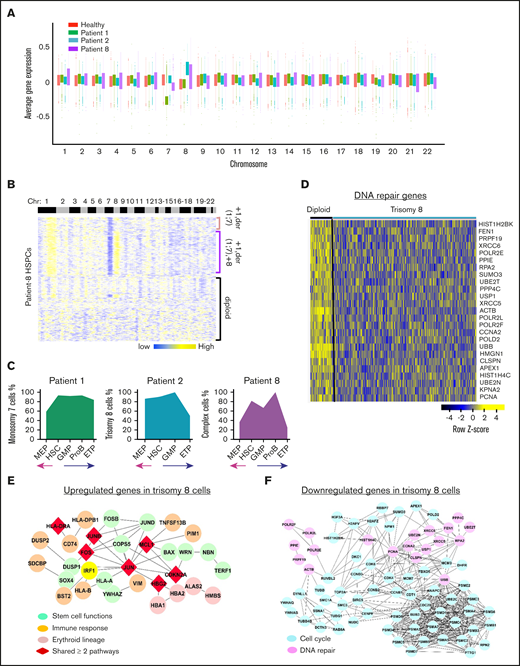 Aneuploidy in GATA2 deficiency. (A) Average gene expression for each chromosome in single cells from patients 1, 2, and 8. Average gene expression levels of individual chromosomes from 4 healthy donors were used for comparison. Chromosomal mapping read values were median centered. Top and bottom of the bars represent the 25% and 75% quartiles, respectively. (B) Heatmaps of chromosomal copy number variations (CNVs) signals of patient 8 obtained by the sliding window analysis. scRNA-seq data of patients were normalized against those of healthy donors. Copy number changes were examined in 22 chromosomes (columns) for patients’ individual cells (rows). Chromosome numbers are indicated on the top row. Three populations of cells are indicated on the right as +1,der(1;7); +1,der(1;7),+8; and diploid cells. (C) Percentages of aneuploid cells in subsets of HSPCs in patients 1, 2, and 8. The x-axis shows frequency of aneuploid cells. The y-axis shows HSPC subsets. (D) A heatmap of downregulated DNA repair genes in trisomy 8 cells in GATA2 deficiency. Networks of upregulated (E) and downregulated (F) genes in trisomy 8 cells in GATA2 deficiency.
