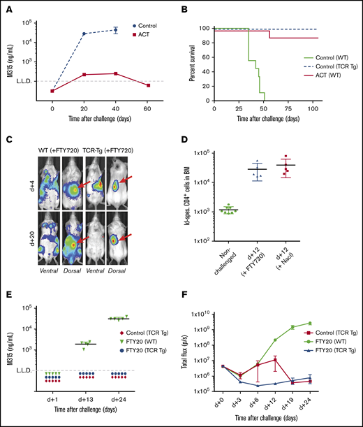 The bone marrow constitutes a functional secondary lymphoid organ. (A) M315 Id levels in mice challenged IV with 1 × 106 MOPC315.BM cells, as determined by ELISA. Adoptive T-cell therapy (ACT)–treated mice were injected with 2 × 106 Id-spec. TCR-Tg CD4+ T cells on day 18 after the tumor challenge, whereas controls did not receive T cells. Results are shown as means ± standard deviation (SD) (n = 8 mice per treatment group). The dotted line reflects the lower limit of detection (LLD) in ELISA. (B) Survival of mice treated as in panel A, with the addition of a TCR-Tg control group (n = 8 mice per treatment group). (C) Bioluminescence imaging of wild-type BALB/c and TCR-Tg BALB/c mice challenged subcutaneously with 2 × 105 and IV with 1 × 106 MOPC315.BM-Luc cells on the indicated days after tumor cell injection. All mice received a daily IP injection of fingolimod (FTY720) for the duration of the experiment. Red arrows indicate the subcutaneous tumor injection site. (D) Flow cytometry quantitation of Id-specific (GB113+) CD4+ T cells within the femoral bone marrow of nonchallenged mice or IV MOPC315.BM tumor challenged mice receiving daily injections of FTY720 or NaCl. Results are shown as means ± SD (n = 5-8 per treatment group). (E) M315 Id levels of wild-type BALB/c and TCR-Tg BALB/c mice challenged IV with 1 × 106 MOPC315.BM and receiving daily IP injections of FTY720 or NaCl. Results are shown as means ± SD. The dotted line reflects the LLD in the ELISA. (F) Dorsal whole-body bioluminescence quantitation of tumor burden in tumor-challenged mice, as described in panel E. Results are shown as means ± SD.
