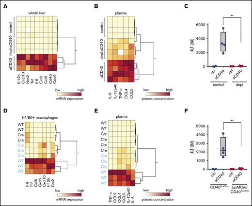 Macrophages as driver of a hemophagocytic syndrome. Mice were treated with anti-CD40 antibody and euthanized 30 hours postinjection. (A) Hierarchical clustering analysis of mRNA expression levels of proinflammatory genes in the whole liver RNA of saline and anti-CD40–treated mice, subjected or not to macrophage depletion. mRNA expression was measured by RT-PCR. Each line identifies an individual saline (control) or anti-CD40–treated animal (yellow, low concentration; red, high concentration). (B) Hierarchical clustering analysis of plasma concentrations of cytokines and chemokines in saline and anti-CD40–ttreated mice, subjected or not to macrophage depletion (yellow, low concentration; red, high concentration). (C) Plasma ALT concentrations in saline (n = 2) or anti-CD40 antibody (n = 4) injected mice, subjected (red dots) or not (black dots) to macrophage depletion. (D) Hierarchical clustering analysis of mRNA expression levels of cytokines and chemokines in F4/80+ isolated liver macrophages from saline (black) and anti-CD40 (blue)-treated CD40flox/flox (wild-type) and LysMCre CD40flox/floxmice. mRNA expression was measured by RT-PCR (yellow, low concentration; red, high concentration). (E) Hierarchical clustering analysis of plasma concentrations of cytokines and chemokines in saline (black) and anti-CD40 (blue)–treated CD40flox/flox (wild-type) and LysMCre CD40flox/flox mice (yellow, low concentration; red, high concentration). (F) Plasma ALT concentrations in saline (n = 2) or anti-CD40–treated CD40flox/flox mice (wild-type, black dots) or LysMCre CD40flox/flox mice (red dots) (n = 4). Individual symbols represent 1 mouse; **P < .01 for all panels.