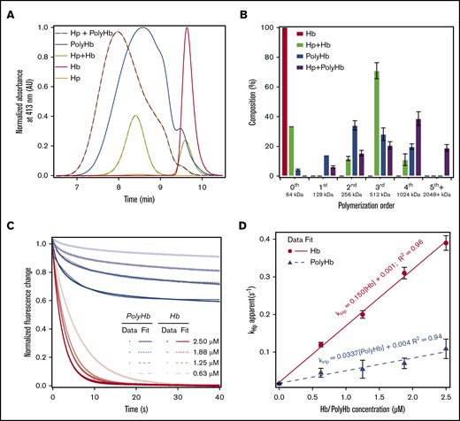 SEC-HPLC and rapid kinetics of Hp binding to Hb and PolyHb. (A) SEC-HPLC chromatograms of Hb and PolyHb with and without Hp. The absorbance was monitored at 413 nm to detect heme. The peak for unmodified Hb elutes at ∼9.6 minutes. Each chromatogram was normalized to the peak area under the curve before the addition of Hp. The molar ratio of Hb to Hp was 1.5:1; the molar ratio of PolyHb to Hp was 1:2. (B) The percent composition based on the approximate size order was determined with a Gaussian deconvolution of the resulting chromatograms. (C) Time courses of Hp (0.25 μM, Hb tetramer binding basis) and Hb/PolyHb (on an Hb tetramer molar basis) were fit to monoexponential equations (dashed lines). Experimental data show an average of 10 kinetic traces. The reactions were monitored by the fluorescence emission using a 310 nm high-pass filter at 20°C. Phosphate-buffered saline (0.1 M, pH 7.4) was used as the reaction buffer. (D) Second-order rate constants of Hp binding to Hb/PolyHb derived as a function of Hb concentration on a Hb tetramer molar basis.