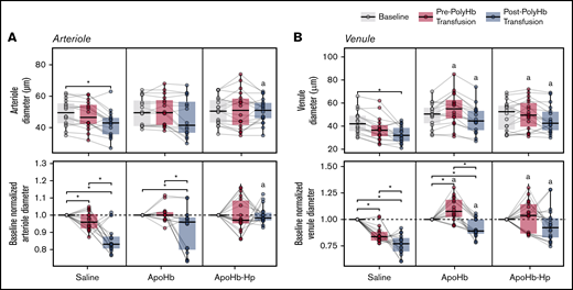 Diameters of blood vessels measured with intravital microscopy. Arteriole (A) and venule (B) diameters measured at baseline; after administration of saline, apoHb, or apoHb-Hp; and after 20% isovolemic exchange transfusion of PolyHb. Top panels show the measured values; bottom panels show values normalized to the baseline of the same vessel in the same animal. Gray lines connect measurements obtained in the same blood vessel. *P < .05 compared between groups. aP < .05 compared with the saline administration group at the same time point. n = 5 animals per group, 6 vessels per animal.