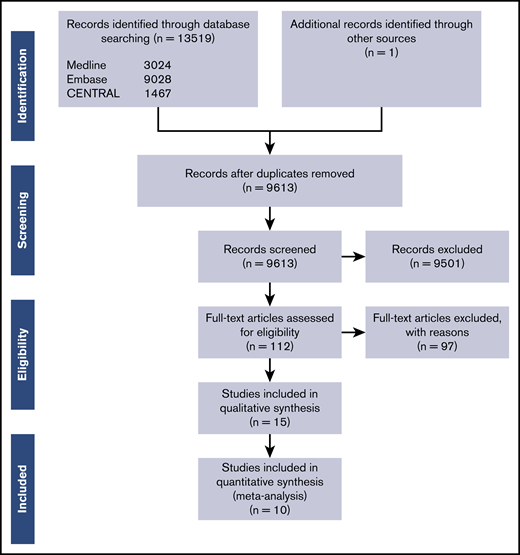 PRISMA flow diagram.