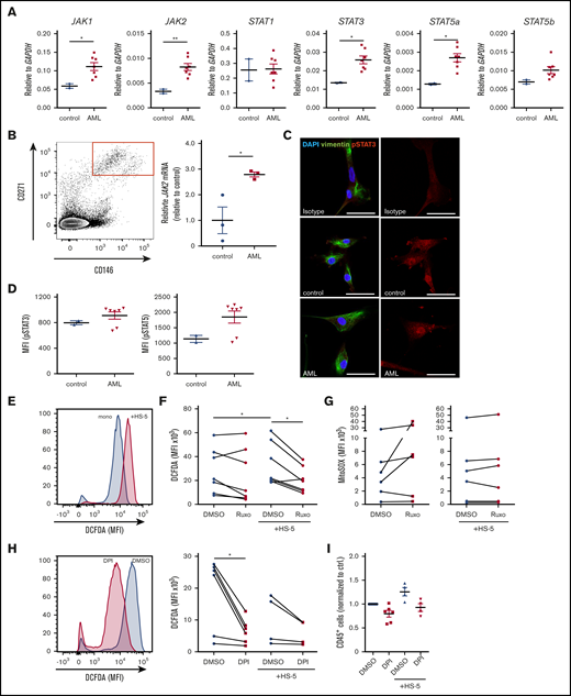 Ruxolitinib targets inflammation-induced JAK/STAT signaling in leukemia microenvironment and ROS production. (A) JAK1/2, STAT1/3/5a/5b gene expression analysis in sorted bone marrow-derived primary human mesenchymal stem and progenitor cells after coculture with primary human AML cells (n = 7) or healthy controls (n = 2) for 4 days by real-time polymerase chain reaction (PCR) (each primary sample was tested in triplicate). (B) Left, representative FACS plot of CD271+CD146+ primary human bone marrow mesenchymal stem and progenitor cells, gated on CD45–CD235–CD31– cells. Right, JAK2 gene expression analysis in sorted bone marrow mesenchymal stem and progenitor cells from AML patients or nonleukemic controls at first diagnosis by real-time PCR (n = 3, data normalized to control). (C) Confocal images from primary human mesenchymal stem and progenitor cells after coculture with nonleukemic mononuclear cells (control) or primary human AML cells stained for vimentin and pSTAT3. The scale bars, 50 µm. (D) primary human AML cells (n = 7) and controls (n = 2) were cocultured with bone marrow–derived primary human mesenchymal stem and progenitor cells. MFI of pSTAT3 and pSTAT5 of stromal cells assessed by BD Phosflow technology (each sample was tested in duplicate). (E-F) Intracellular ROS production detected by measuring 2′,7′-dichlorofluorescin diacetate (DCFDA) in primary human AML cells in mono- or coculture with HS-5 stromal cells. (E) Exemplary FACS plot showing the MFI of DCFDA in 1 DMSO-treated AML patient sample mono- or cocultured with HS-5 stromal cells. (F) Intracellular ROS production in mono- or cocultured primary human AML cells after treatment with 2 µM ruxolitinib for 4 days (n = 7-9 different primary AML samples; each primary sample was tested in triplicate; connecting lines represent 1 patient sample). (G) Mitochondrial superoxide (MitoSOX) production in mono- or cocultured primary human AML cells after treatment with 2 µM ruxolitinib or vehicle using MitoSOX Red reagent (n = 6 different primary AML samples; each primary sample was tested in triplicate, connecting lines represent 1 patient sample). (H) Intracellular ROS production was detected by measuring DCFDA in mono- or cocultured primary human AML cells treated with 0.5 µM diphenyleneiodonium (DPI) or vehicle for 2 days. Left, representative FACS plot showing the MFI of DCFDA in 1 AML patient sample treated with DPI or vehicle. Right, quantification of intracellular ROS production in primary human AML cells in mono- or coculture with HS-5 stromal cells (n = 4-6 different primary AML samples; each primary sample was tested in triplicate; connecting lines represent 1 patient sample). (I) Primary human AML cells were either mono- or cocultured with HS5 cells and treated with 0.5 µM DPI or vehicle for 2 days. Absolute numbers of CD45+ cells were normalized to monocultured control (n = 4-6 different AML donors; each primary sample was tested in triplicate). Data are shown as mean ± SEM. See also supplemental Figure 4. *P < .05; **P < .01 determined by Student t test, Wilcoxon signed-rank test, or Mann-Whitney U test.