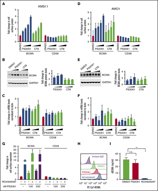 Sec61 inhibitors increase cell surface expression of BCMA in multiple myeloma cells. (A-C) KMS11 cells, (D-F) AMO1 cells. (A,D) KMS11 and AMO1 cells were treated with increasing concentrations of the Sec61 inhibitors CT8 and PS3061 (100, 200, 400, and 800 nM) or DMSO as a control for 24 hours. Cells were stained for cell surface expression of BCMA and CD38 and analyzed by using flow cytometry. Data are means of 3 biological replicates, and error bars denote standard deviations. (B,E) Total protein lysates from cells treated with increasing concentration of CT8 and PS3061 (200, 400, and 800 nM) for 24 hours were processed for western blotting. GAPDH (glyceraldehyde-3-phosphate dehydrogenase) was used to normalize for differences in loading amounts. Data are represented as fold change relative to the normal protein expression level after normalization with GAPDH. Data points are means of 2 technical replicates, and error bars denote standard deviations. (C,F) Cells treated with increasing concentrations of PS3061 and CT8 (200, 400, and 800 nM) for 24 hours were processed for quantitative polymerase chain reaction to determine transcript levels of BCMA and CD38. Fold change in transcript levels were determined after normalizing to β-actin. Data are means of 2 biological replicates, and error bars denote standard deviations. (G) AMO1 cells were treated for 24 hours with the Sec61 inhibitor PS3061 (100 and 200 nM) and the γ-secretase inhibitor RO4929097 (5 μM) as single agents or in combination using DMSO as a control. Cells were stained for cell surface expression of BCMA and CD38 and analyzed by using flow cytometry. Data are means of 3 biological replicates, and error bars denote standard deviations. (H-I) KMS11 cells were treated with 800 nM of PS3061, 5 µM of RO4929097, and DMSO for 24 hours. (H) Drug-treated cells were analyzed by flow cytometry for cell surface expression of BCMA. Histograms indicate distribution of PE/CY7 BCMA in the drug-treated cells. Data are a representation of 2 biological replicates. (I) Concentration of sBCMA in the cell culture supernatant after drug treatment was measured by using enzyme-linked immunosorbent assay. Data are means of 2 biological replicates, and error bars denote standard deviations. **P < .005. n.s., not significant, 2-tailed, unpaired Student t test.