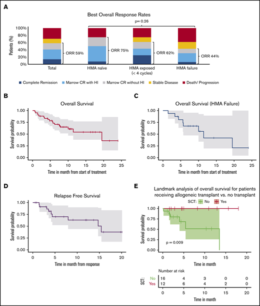 Response and survival of patients with myelodysplastic syndrome (MDS) receiving venetoclax in combination with hypomethylating agent therapy. (A) Best overall response rate was 59% for the entire cohort and not significantly different by HMA exposure (ORR: HMA naïve 75%, HMA ≤4 cycles 62%, and HMA failure 44%, P = .26). (B) Kaplan-Meier (KM) curve of OS for the entire cohort. The median OS was 19.5 months (95% CI, 10.0 to not estimable). (C) KM curve of OS for patients with HMA failure before starting venetoclax + HMA. The median OS was 11.4 months (95% CI, 5.7 to not estimable). (D) KM curve of relapse-free survival (RFS) for the entire cohort. The median RFS was 15.4 months (95% CI, 7.9 to not estimable). (E) Landmark analysis at 6 months after starting treatment with venetoclax and HMA demonstrating significantly longer survival (P = .009) for patients with MDS undergoing allogeneic transplant (SCT: yes) when compared with those not undergoing transplant (SCT: no). Only patients surviving at 6 months were included in the analysis.