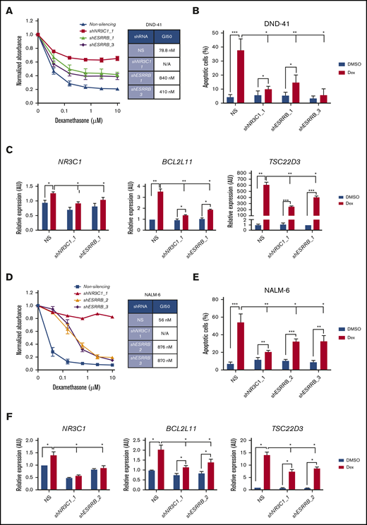 ESRRB regulates dexamethasone-induced gene expression and cell death in human ALL cell lines. (A,D) The human T-ALL cell line DND-41 and the human pre-B-ALL cell line NALM-6, transduced with lentiviruses expressing NS control or shRNAs targeting ESRRB or NR3C1, were cultured in increasing concentrations of dexamethasone for 72 hours, and viability was assayed by MTS. Absorbance values were normalized to vehicle control. (B,E) ESRRB knockdown in human T-ALL cells conferred resistance to dexamethasone-induced apoptosis. Silenced cells were cultured with dexamethasone for 2 days, and apoptosis was assayed by annexin V-FITC/7-AAD staining followed by flow cytometry. (C,F) Optimal dexamethasone-induced NR3C1, BCL2L11, and TSC22D3 gene expression required NR3C1 and ESRRB. Control or knockdown cells were treated with dexamethasone for 24 hours, and NR3C1, BCL2L11, and TSC22D3 mRNA expression was analyzed by qRT-PCR. The copy number was normalized to β-actin by the ΔΔCT method. The results are averages of 3 independent experiments; error bars represent SEM. *P < .05; **P < .01; ***P < .001.