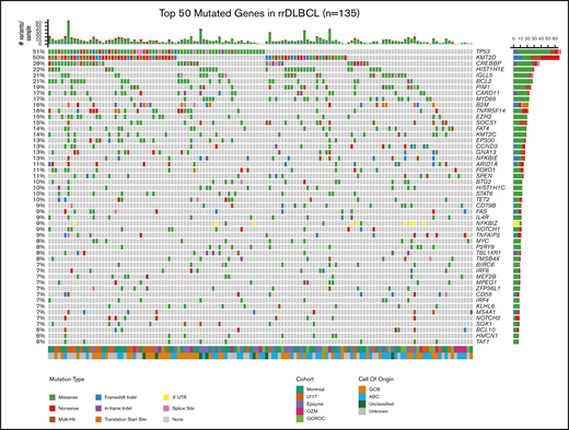 Mutation landscape of lymphoma-related genes in 135 rrDLBCL cases. Exonic mutations affecting the top 50 most recurrently mutated genes in our cohort of 135 rrDLBCL samples representing 5 different cohorts (“Methods”). The inferred effect of each mutation is indicated by color. Noncoding mutations are suppressed with the exception of NFKBIZ, which includes 3′ UTR mutations that have been previously described as driver mutations. The 2 covariate tracks on the bottom show COO information (where available) and the source cohort for each sample. Bar plots above and to the right of the plot indicate number of mutations per patient and number of patients with a mutation in that gene, respectively. Although the mutation landscape closely resembles untreated DLBCL, there are some notable differences. For example, approximately half of all rrDLBCLs harbored mutations in either TP53 (51%) or the histone methyltransferase KMT2D (50%) with 31% of cases harboring mutations in both genes.