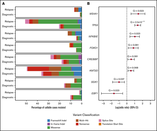 Differentially mutated genes between rrDLBCL and untreated DLBCL. (A) Mutation type and frequency of each differentially mutated gene in the untreated and rrDLBCL cohorts, using a significance threshold of 0.1 following false discovery rate correction. Untreated cases with insufficient coverage (not callable) in the gene of interest were not counted in the denominator for that gene (supplemental Methods). (B) Forest plot showing the odds ratio for all differentially mutated genes, as determined by the Fisher’s exact test, for all differentially mutated genes (supplemental Table 6). CI, confidence interval.