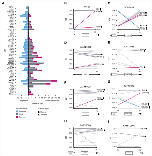Clonal evolution patterns of regression and selection in rrDLBCL. (A) Number of cases with a mutation that regressed (blue), expanded (pink), or remained stable (gray) in a given gene following therapy. Time points are from a tumor biopsy before treatment (T1) and a plasma sample after treatment (P2). Genes in clusters that predominately undergo clonal expansion treatment are near the bottom, and genes in clusters depleted following treatment are near the top. (B-I) Clonal evolution plots for several patients following therapy, using a pretreatment tumor tissue biopsy and a posttreatment plasma sample. Each line represents a single coding mutation, and the relative CCF of each mutation before and after therapy is used to flag mutations that undergo clonal expansion (pink), depletion (blue), or remain stable (gray). The 8 genes differentially mutated are labeled and highlighted, and the mutation type is indicated by the adjacent symbol.
