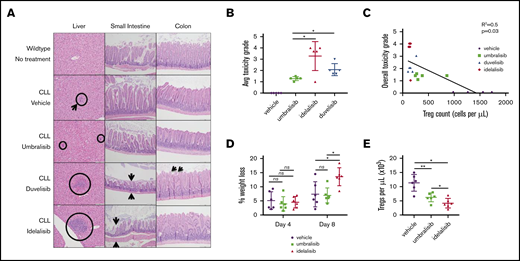 Analysis of immune-mediated toxicity in CLL murine model. (A) Representative histology findings in liver, small intestine, and colon of Eμ-TCL1 CLL-bearing recipient mice treated as described in Figure 4. Circles and arrows depict sites showing signs of toxicity (original magnification, ×20; hematoxylin & eosin stain). (B) Average toxicity grade per group (n = 5 mice per group, from Figure 4). (C) Linear regression of peripheral Treg count vs incidence of toxicity reveals an inverse correlation. (D) Percentage weight loss in the GVHD murine model normalized to weight prior to sublethal irradiation (inhibitors were administered at 100 mg/kg, once daily, oral gavage; n = 6 mice per group). (E) Submandibular bleeds were collected from each mouse on day 8, and immunophenotyping was performed by flow cytometry to detect peripheral CD4+ CD25HI FoxP3+ Tregs. Data are mean + standard deviation. Data are representative of 3 independent in vivo experiments. *P < .05, **P < .005, ***P < .0005, ordinary 1-way ANOVA.